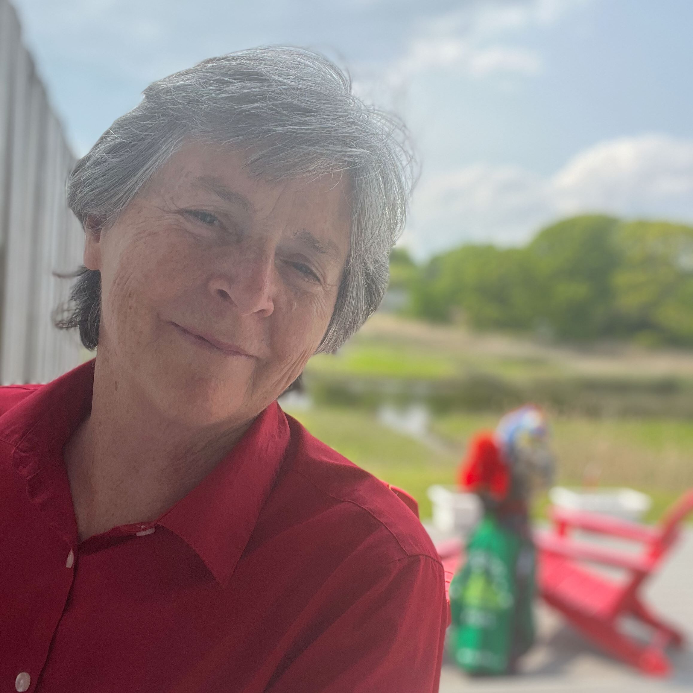 darlene briggs headshot darlene briggs headshot